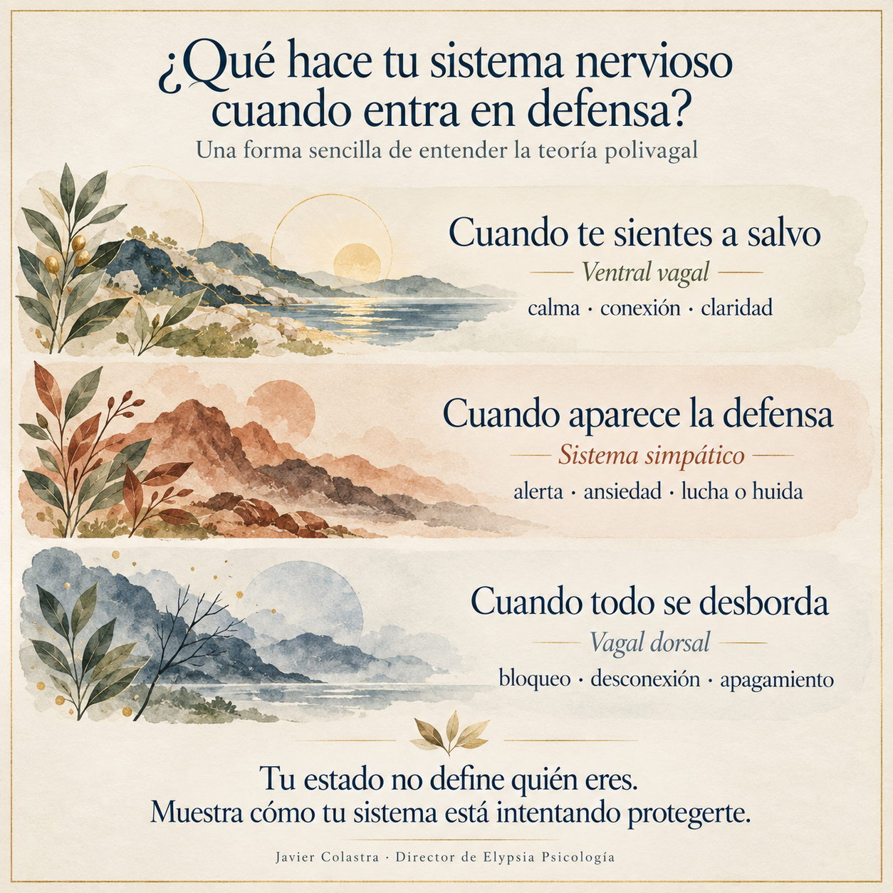 Infografía sobre los estados del sistema nervioso según la teoría polivagal: seguridad, activación y bloqueo